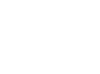 Fast Shipping